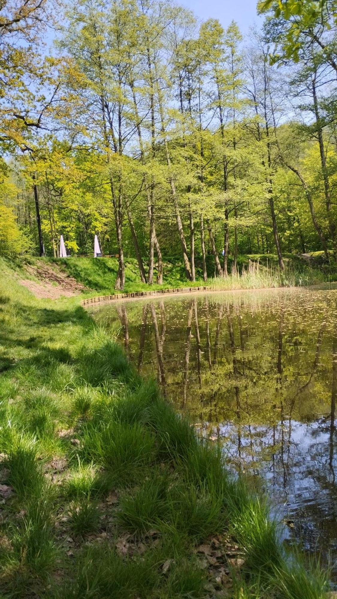Apartament Zdroj Jastrzębie Zdrój Dış mekan fotoğraf